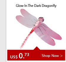 Glow In The Dark Dragonfly