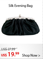 Silk Evening Bag
