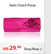Satin Clutch Purse