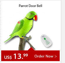 Parrot Door Bell