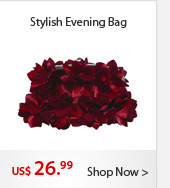 Stylish Evening Bag