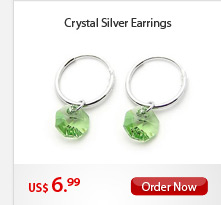 Crystal Silver Earrings