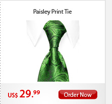 Paisley Print Tie