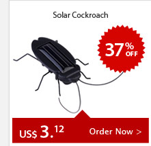 Solar Cockroach 