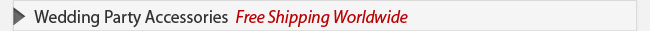 Wedding Party Accessories Free Shipping Worldwide