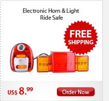 Electronic Horn & Light 