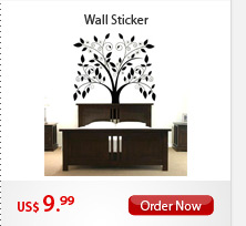 Wall Sticker