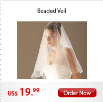 Beaded Veil