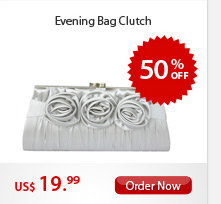 Evening Bag Clutch