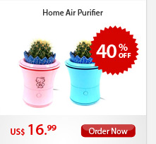 Home Air Purifier
