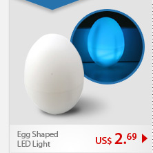 Egg Shaped LED Light