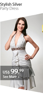Stylish Silver Party Dress