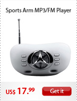 Sports Arm MP3/FM Player