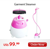 Garment Steamer