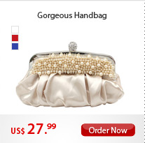 Gorgeous Handbag