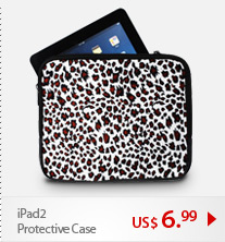 IPad2 Protective Case