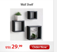 Wall Shelf