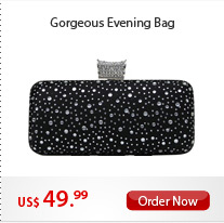 Gorgeous Evening Bag