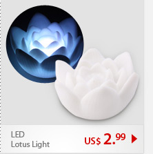 LED Lotus Light