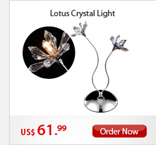 Lotus Crystal Light