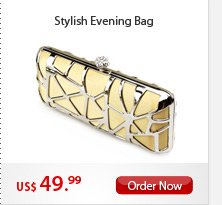 Stylish Evening Bag