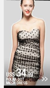 Polka Dot Mesh Dress
