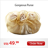 Gorgeous Purse
