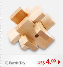 IQ Puzzle Toy