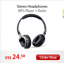 Stereo Headphones