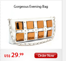 Gorgeous Evening Bag
