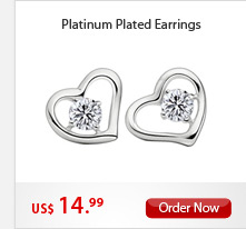 Platinum Plated Earrings