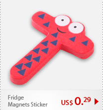 Fridge Magnets Sticker