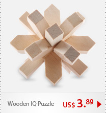 Wooden IQ Puzzle