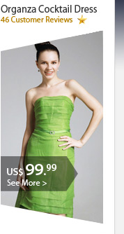 Organza Cocktail Dress