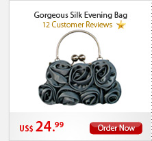 Gorgeous Silk Evening Bag
