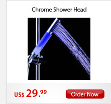 Chrome Shower Head
