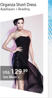 Organza Short Dress