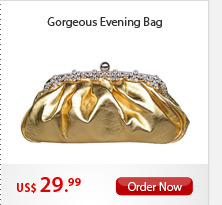 Gorgeous Evening Bag