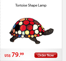 Tortoise Shape Lamp