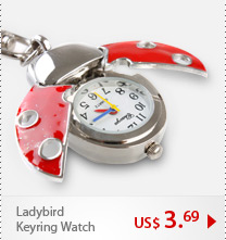 Ladybird Keyring Watch