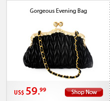 Gorgeous Evening Bag