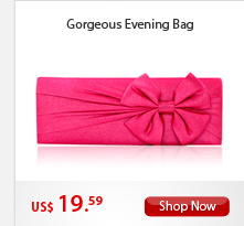 Gorgeous Evening Bag