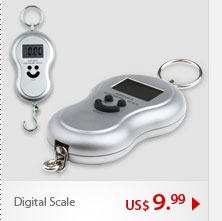 Digital Scale
