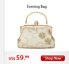Evening Bag