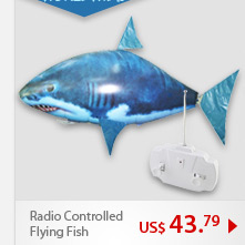 Radio Controlled Flying Fish