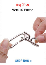 Metal IQ Puzzle