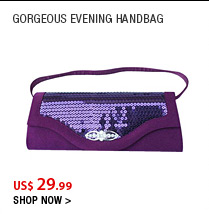 Gorgeous Evening Handbag