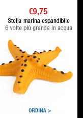Stella marina espandibile