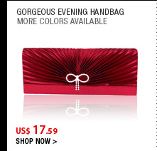 Gorgeous Evening Handbag