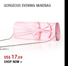 Gorgeous Evening Handbag